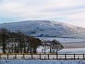 Snowy Traprain